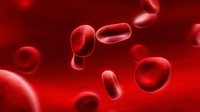 red_blood_cells_flying_down_the_blood-stream.1920x1080.27592950.jpg
