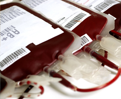 blood_bags_245x200.jpg