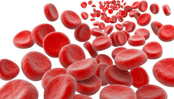 iStock_RedBloodCells1.jpg