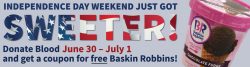 Baskin Robbin Independence Day Banner