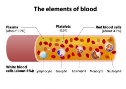 Elements of Blood