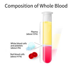 Whole Blood Composition