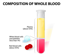 Whole Blood Composition Image