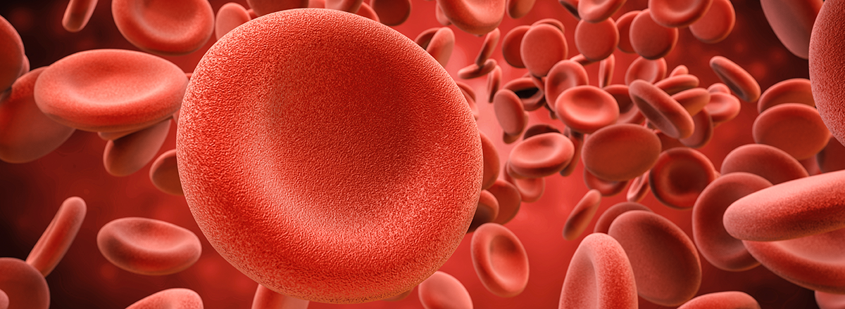 Red Blood Cells