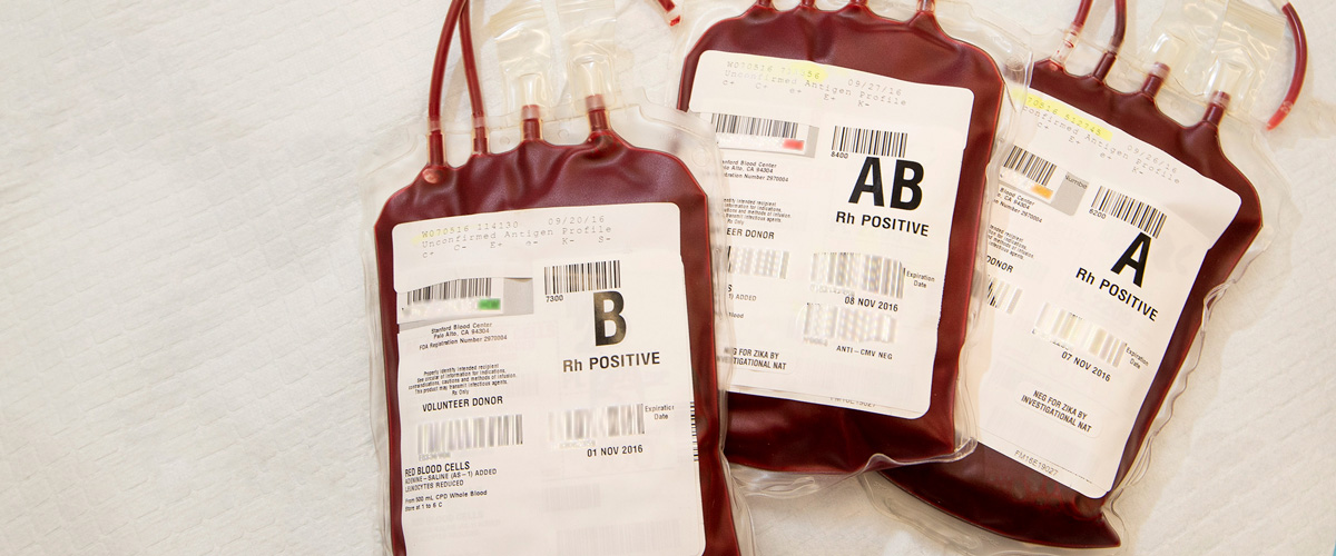 Blood Bag: The Unexpected Journey — Stanford Blood Center