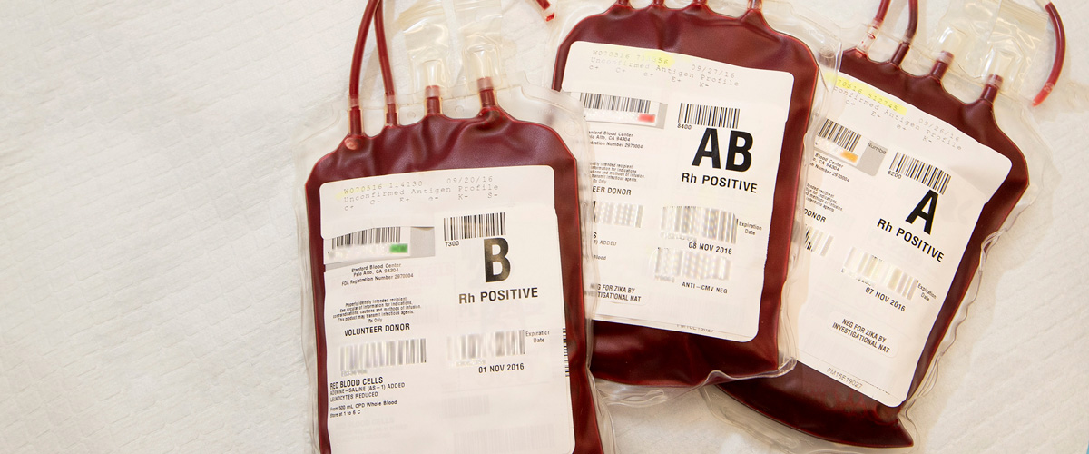 How Often Can You Donate Plasma? - ABO Plasma