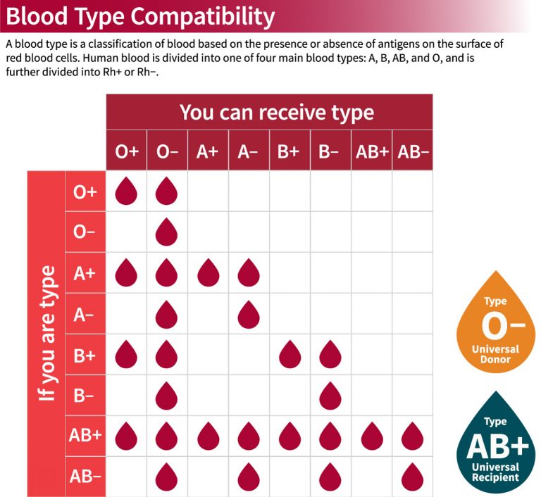 Printable Blood Type Donor And Recipient Chart