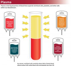Plasma