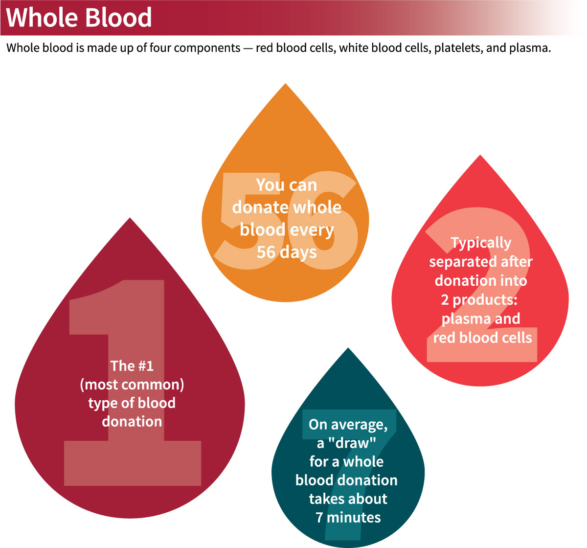 Blood Type Facts - Donate Blood - The Blood Connection
