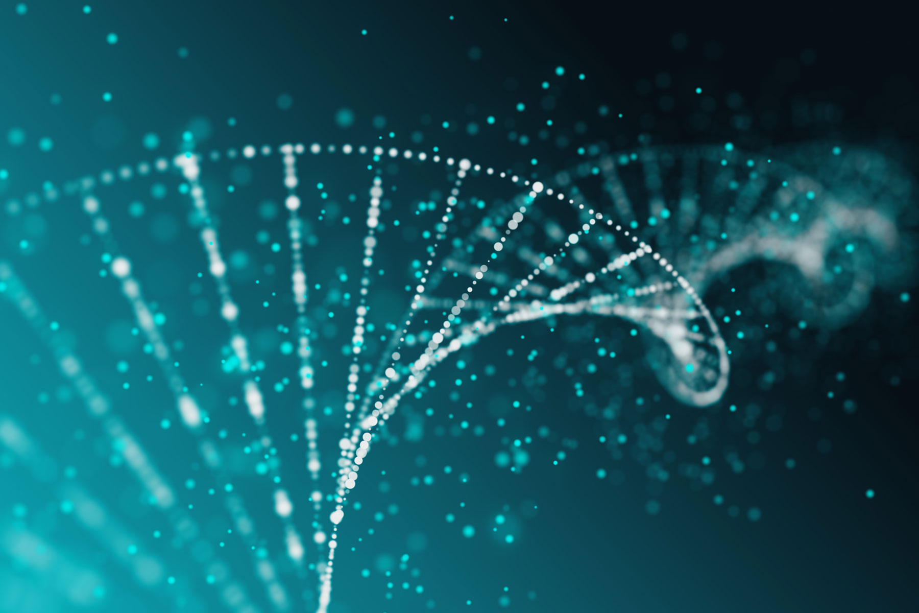 DNA strand for research