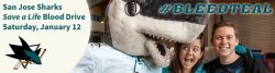 Sharks Blood Drive January 12