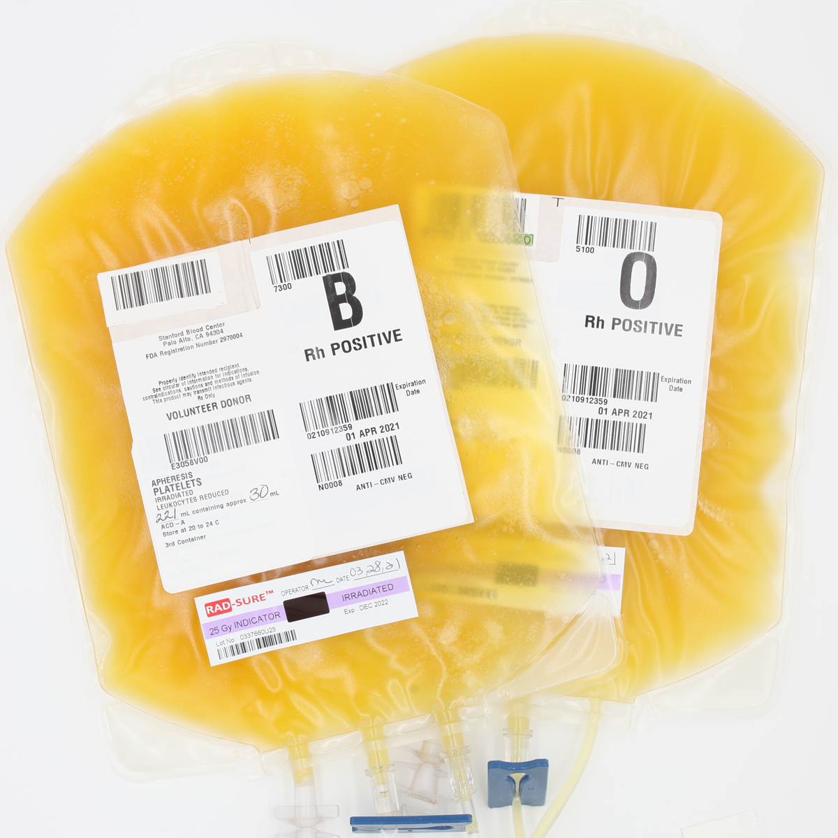 Blood Bags for Plasma Production - Camelid Veterinary Services