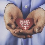 person holding heart in hands that says organ donors save lives