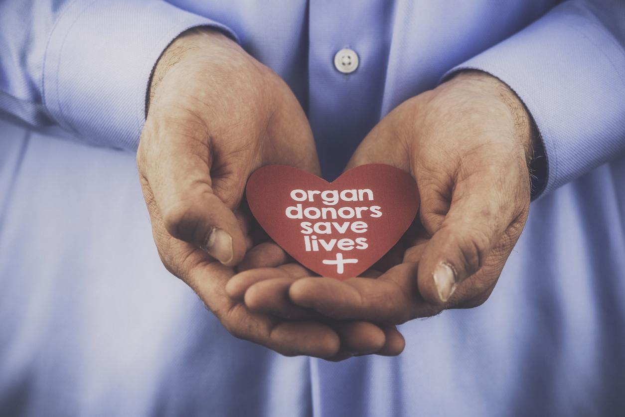 person holding heart in hands that says organ donors save lives