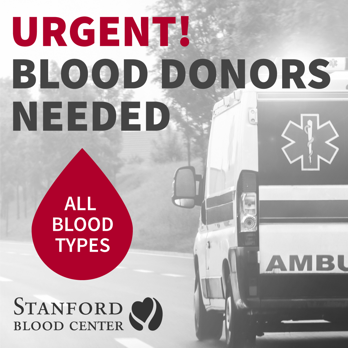 March is National Bleeding Disorders Awareness Month — Stanford Blood ...