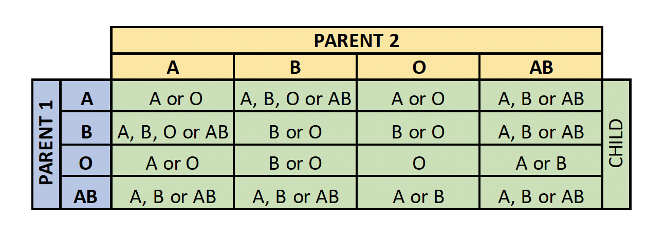 Blood Types — Stanford Blood Center