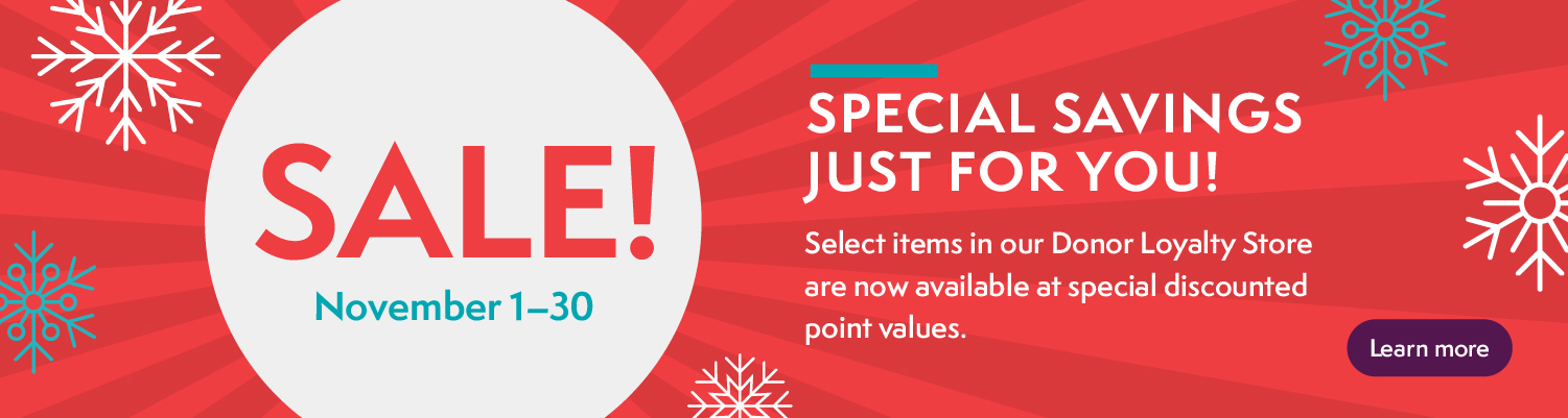 DLS-Holiday-Sale-Homepage-banner-1500x400