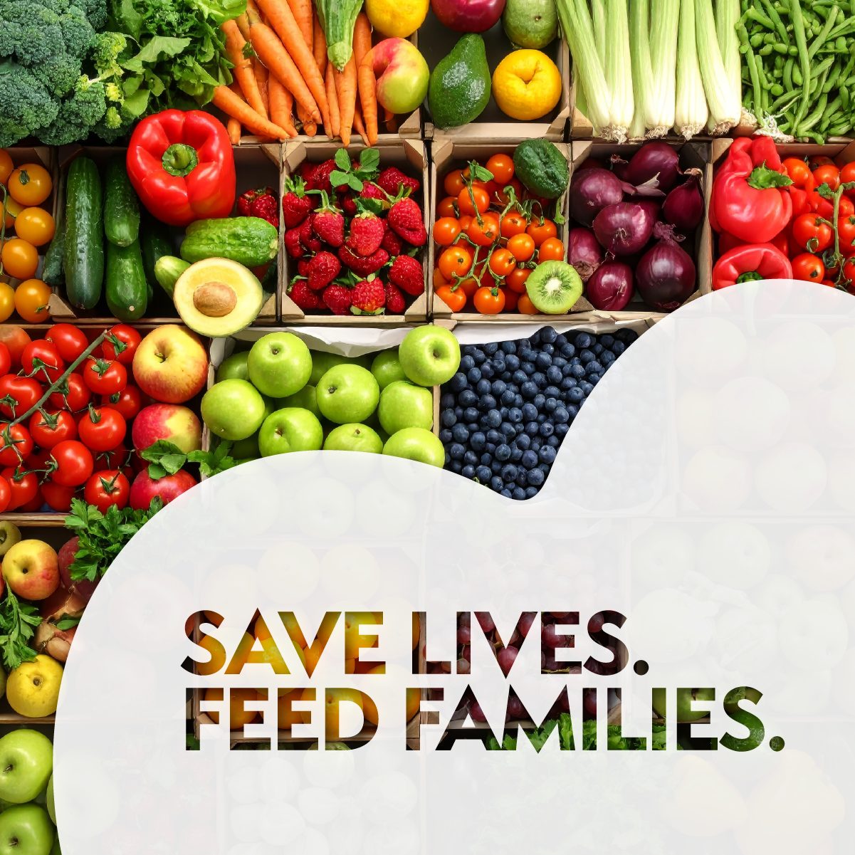 Adopt a tree with SBC