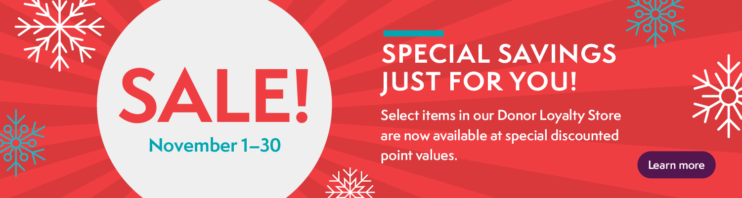 DLS-Holiday-Sale-Homepage-banner-1500x400